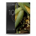 Дизайнерский пластиковый чехол для Sony Xperia XZs Кукуруза