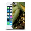 Дизайнерский пластиковый чехол для Iphone 5s Кукуруза