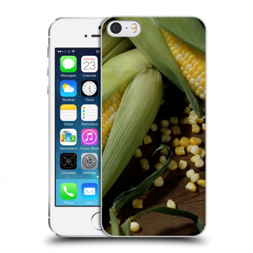 Дизайнерский пластиковый чехол для Iphone 5s Кукуруза