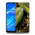 Дизайнерский пластиковый чехол для Huawei Y6 (2019) Кукуруза