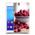 Дизайнерский пластиковый чехол для Sony Xperia C4 Малина