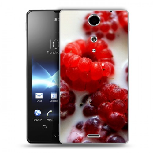 Дизайнерский пластиковый чехол для Sony Xperia TX Малина