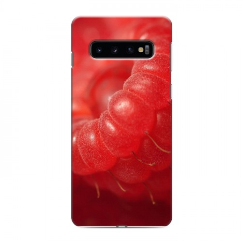 Дизайнерский силиконовый чехол для Samsung Galaxy S10 Малина