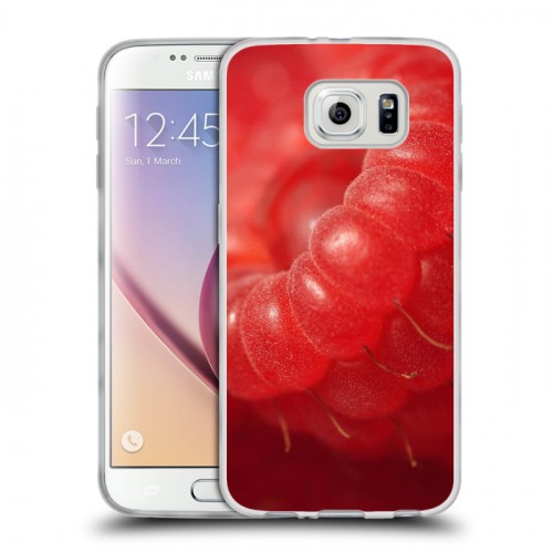 Дизайнерский пластиковый чехол для Samsung Galaxy S6 Малина