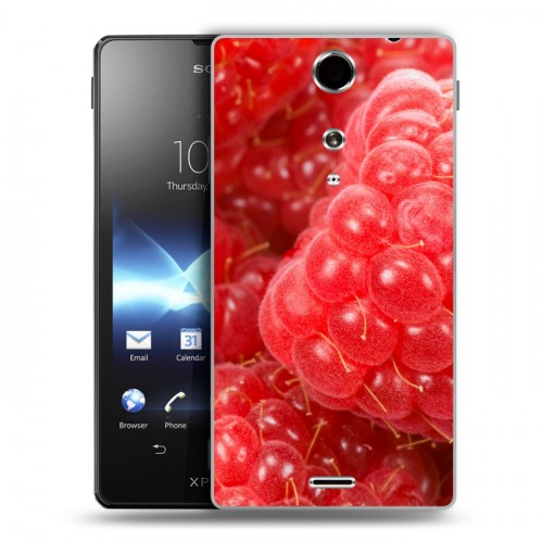 Дизайнерский пластиковый чехол для Sony Xperia TX Малина