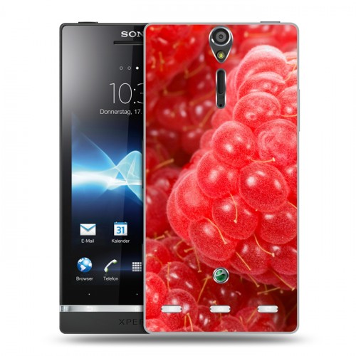 Дизайнерский пластиковый чехол для Sony Xperia S Малина