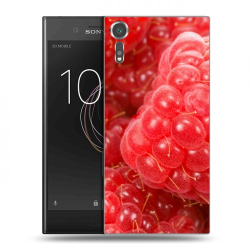 Дизайнерский пластиковый чехол для Sony Xperia XZs Малина