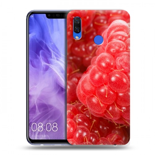 Дизайнерский пластиковый чехол для Huawei Nova 3i Малина