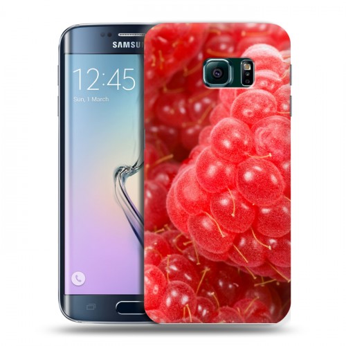 Дизайнерский пластиковый чехол для Samsung Galaxy S6 Edge Малина