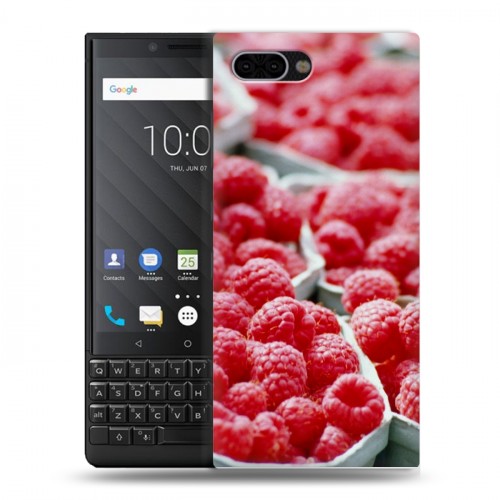 Дизайнерский пластиковый чехол для BlackBerry KEY2 Малина