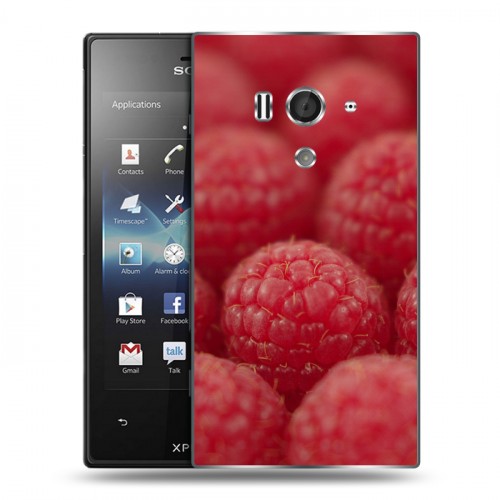 Дизайнерский пластиковый чехол для Sony Xperia acro S Малина