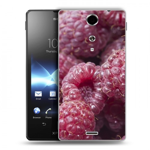 Дизайнерский пластиковый чехол для Sony Xperia TX Малина