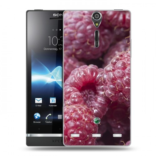 Дизайнерский пластиковый чехол для Sony Xperia S Малина