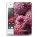 Дизайнерский пластиковый чехол для Sony Xperia E Малина