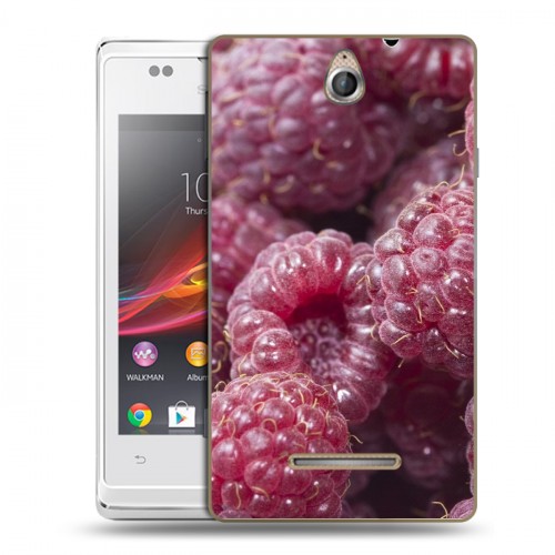 Дизайнерский пластиковый чехол для Sony Xperia E Малина