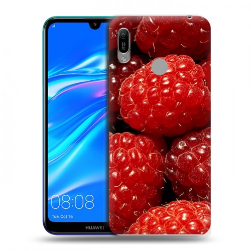 Дизайнерский пластиковый чехол для Huawei Y6 (2019) Малина