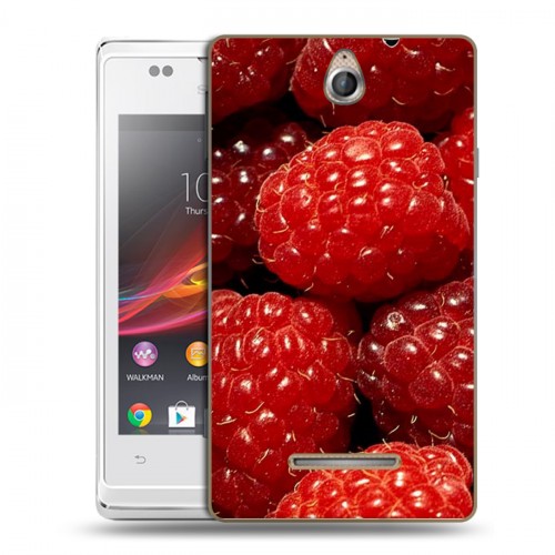 Дизайнерский пластиковый чехол для Sony Xperia E Малина