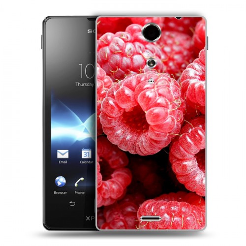 Дизайнерский пластиковый чехол для Sony Xperia TX Малина