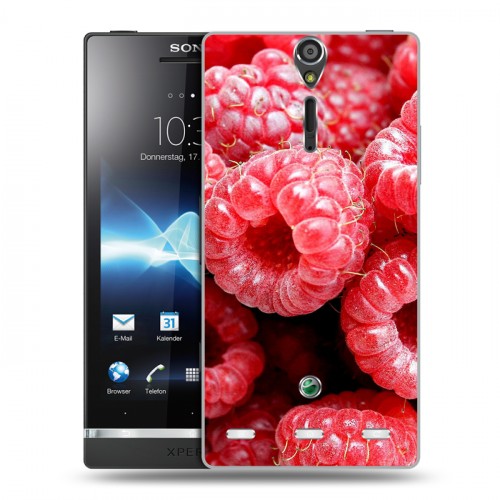 Дизайнерский пластиковый чехол для Sony Xperia S Малина