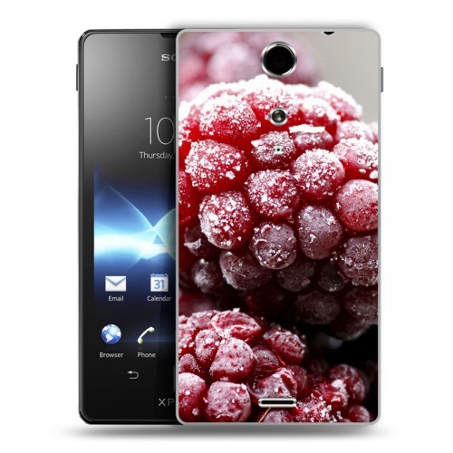 Дизайнерский пластиковый чехол для Sony Xperia TX Малина