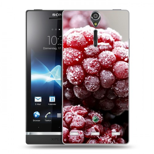 Дизайнерский пластиковый чехол для Sony Xperia S Малина