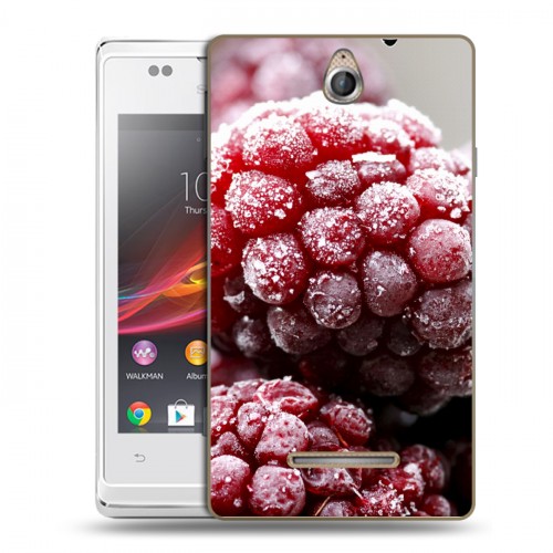 Дизайнерский пластиковый чехол для Sony Xperia E Малина