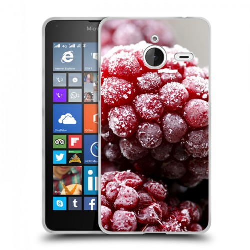 Дизайнерский пластиковый чехол для Microsoft Lumia 640 XL Малина