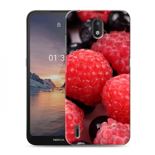 Дизайнерский силиконовый чехол для Nokia 1.3 Малина