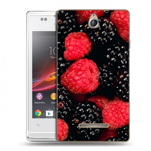 Дизайнерский пластиковый чехол для Sony Xperia E Малина