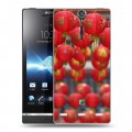 Дизайнерский пластиковый чехол для Sony Xperia S Китайский Новый Год