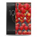 Дизайнерский пластиковый чехол для Sony Xperia XZs Китайский Новый Год