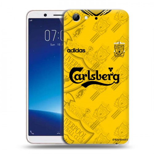 Дизайнерский пластиковый чехол для Vivo Y71 Carlsberg