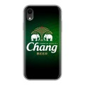 Дизайнерский пластиковый чехол для Iphone Xr Chang