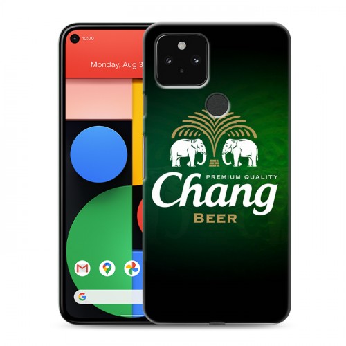 Дизайнерский пластиковый чехол для Google Pixel 5 Chang