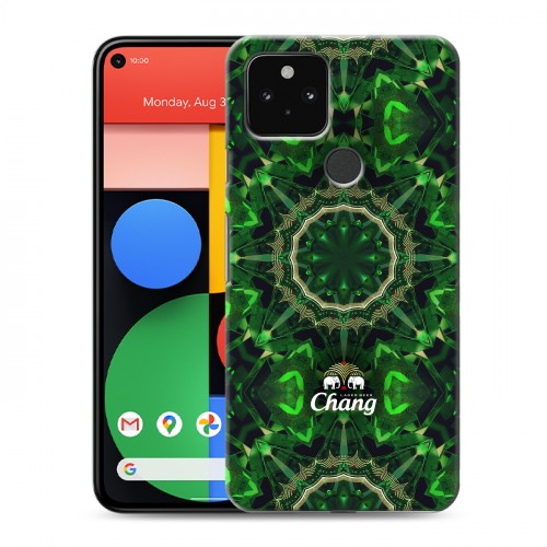 Дизайнерский пластиковый чехол для Google Pixel 5 Chang