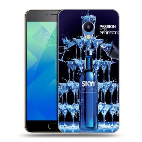 Дизайнерский пластиковый чехол для Meizu M5 Skyy Vodka