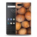 Дизайнерский пластиковый чехол для BlackBerry KEY2 Орехи