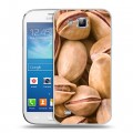 Дизайнерский пластиковый чехол для Samsung Galaxy Premier Орехи