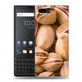 Дизайнерский пластиковый чехол для BlackBerry KEY2 Орехи