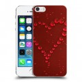 Дизайнерский пластиковый чехол для Iphone 5s День Святого Валентина