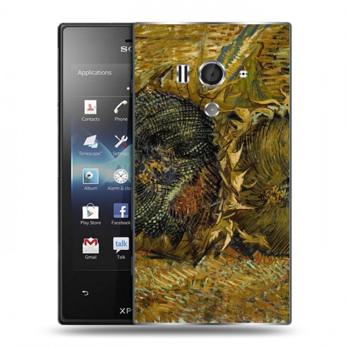 Дизайнерский пластиковый чехол для Sony Xperia acro S