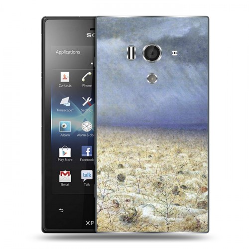 Дизайнерский пластиковый чехол для Sony Xperia acro S