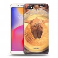 Дизайнерский пластиковый чехол для Xiaomi RedMi 6A