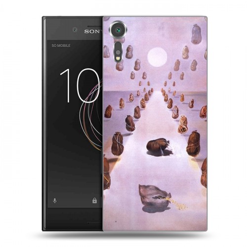 Дизайнерский пластиковый чехол для Sony Xperia XZs