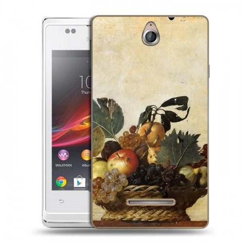 Дизайнерский пластиковый чехол для Sony Xperia E