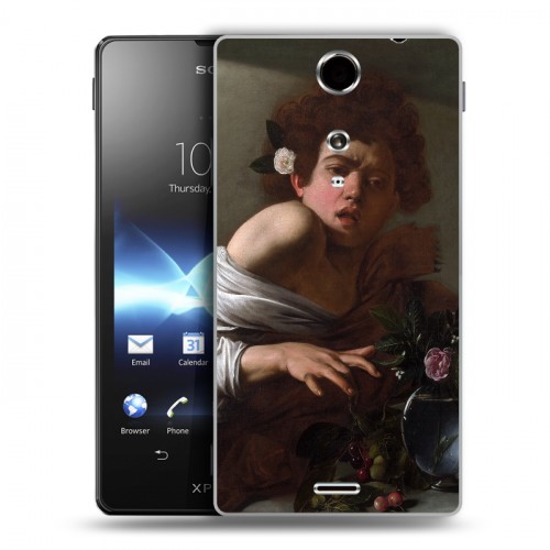 Дизайнерский пластиковый чехол для Sony Xperia TX