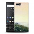 Дизайнерский пластиковый чехол для BlackBerry KEY2