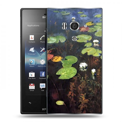 Дизайнерский пластиковый чехол для Sony Xperia acro S