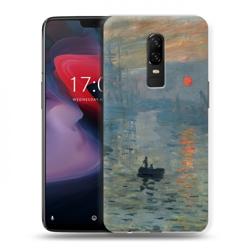 Дизайнерский пластиковый чехол для OnePlus 6