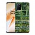 Дизайнерский пластиковый чехол для OnePlus 8T